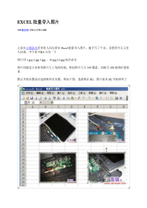 EXCEL批量导入图片