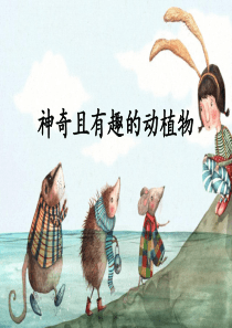 神奇且有趣的动植物