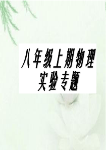 八年级上册物理实验
