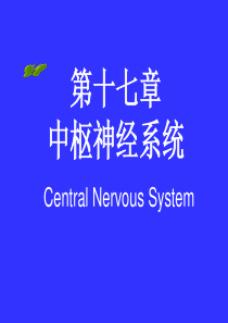 医学课件中枢神经系统