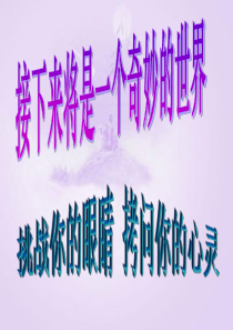 第三课：观察力大考验游戏