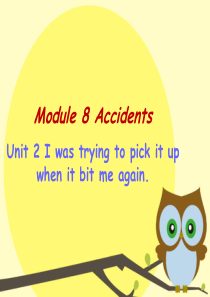 外研版八年级上册M8U2