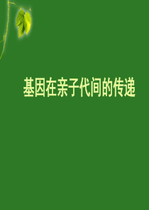 基因在亲子代间传递