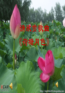 2、荷塘月色ppt课件(经典)