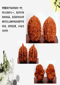 文玩核桃品种图鉴大全