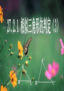 g27.2.1三角形的相似判定(3)AA,HL