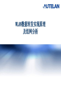 WLAN数据转发实现原理及组网分析