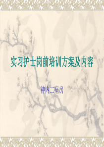 实习护士岗前培训方案及内容（PPT37页)