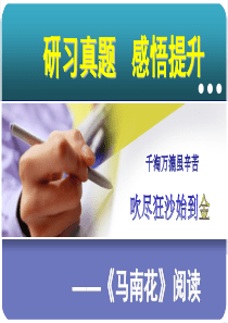 《马南花》解读
