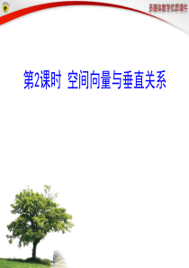 第2课时 空间向量与垂直关系