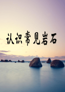 认识常见岩石