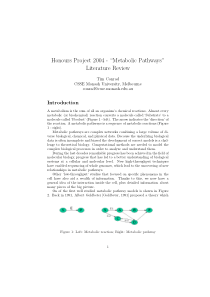 Honours Project 2004- “Metabolic Pathways” Literat