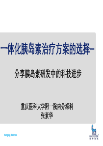 一体化胰岛素治疗方案的选择