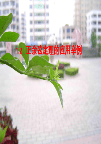 1.2正余弦定理的应用举例