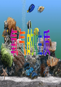氧气的性质.ppt