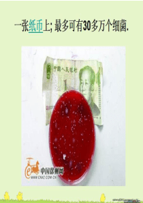 第二节   免疫和计划免疫