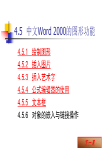 45 中文Word 2000的图形功能