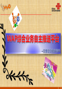 wap综合业务自主推送平台方案