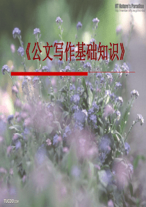 企业常用公文写作