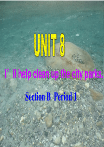 (新目标)九年级上 Unit8 I’ll help clean up the city parks 
