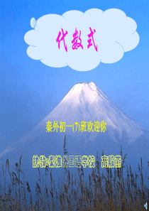 七年级数学代数式2