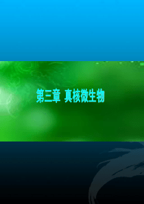 第三章 真核微生物