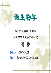 主谓一致用法详解