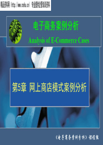 电子商务--网上商店模式案例分析(PPT79页)