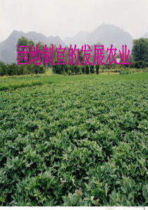 地理八年级上人教版4.2因地制宜的发展农业课件(二).