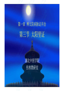 湖北中医学院伤寒论课件13