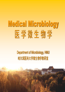 狂犬病病毒-医学微生物学课件