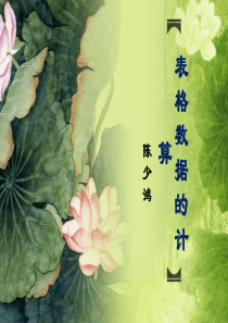 Excel表格数据的计算