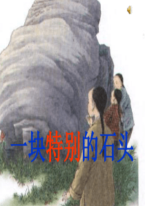 21. 一块特别的石头PPT课件