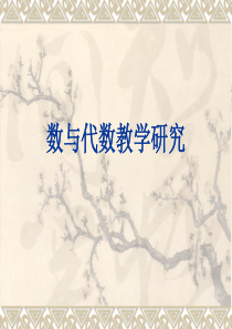 数与代数教学研究剖析
