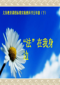 “法在我身边”