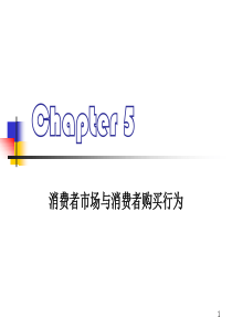 第5章消费者行为及决策过程