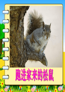 0《跑进家来的松鼠》PPT课件
