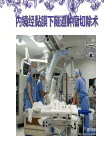 内镜经黏膜下隧道肿瘤切除术