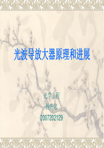 光波导放大器原理和进展