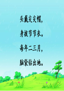 1.《春笋》第一课时