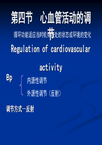 第四章 循环系统  第四节  心血管活动的调节