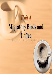 泛读Unit4 migratory birds and coffee