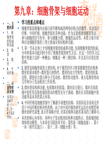 细胞骨架与细胞运动