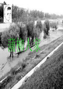 《蒲柳人家》ppt课件(精品)