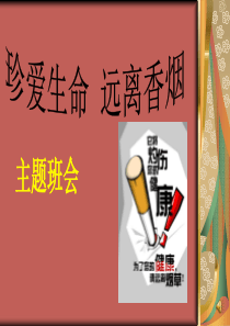 班会世界无烟日主题班会5PPT课件