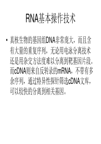 RNA基本操作技术