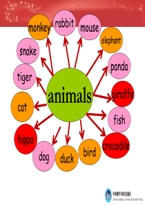 Kids Box 1  Unit 7  Wild animals 剑桥英语第七单元