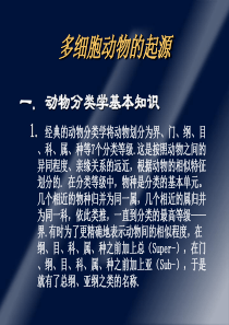 多细胞动物的起源