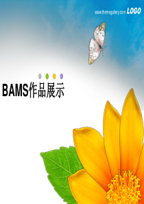 BAMS系统介绍