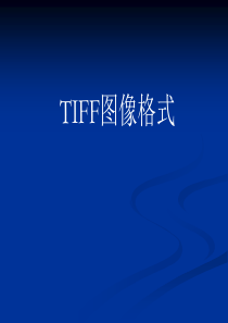TIFF图像格式介绍